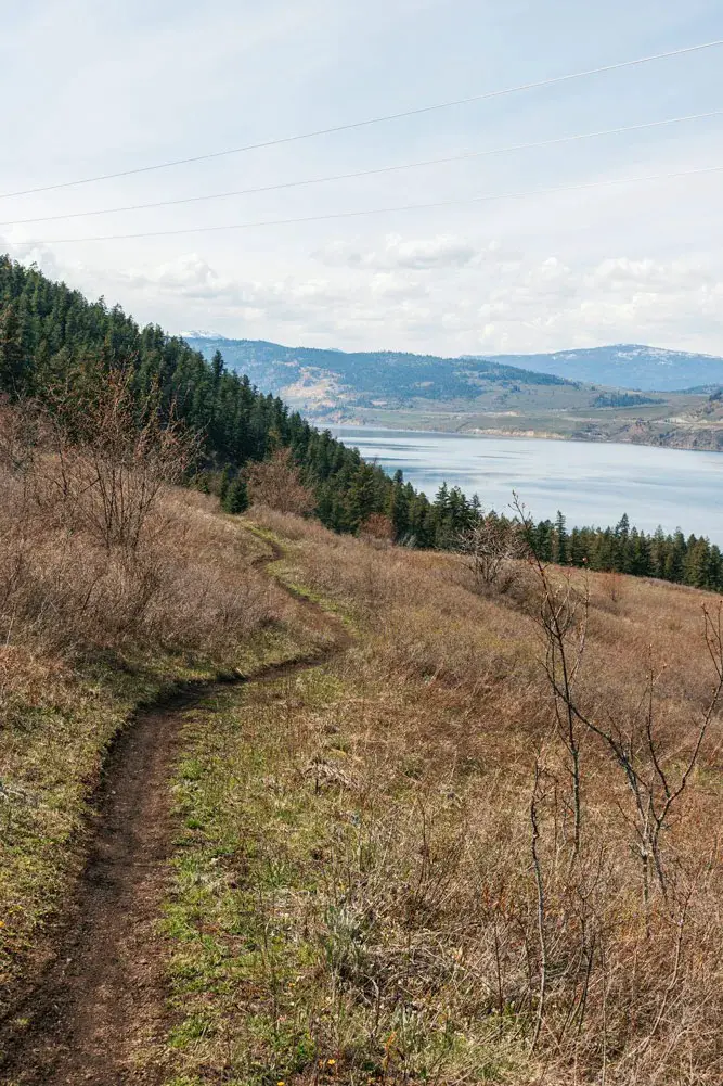 Single lane hiking trail heading towards a large lake