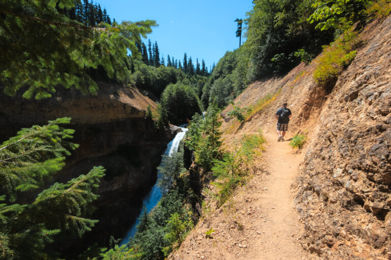 Trail Guide: Lava Canyon Hike at Mt St Helens, Washington