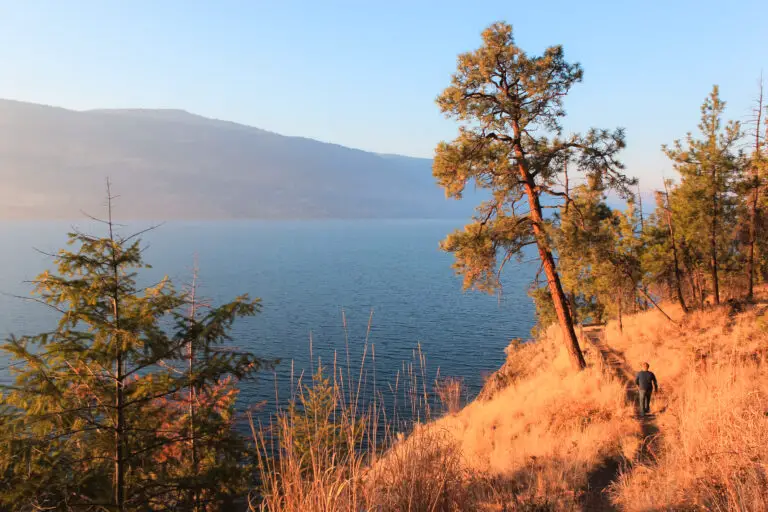 Trail Guide: Lochview Trail on Knox Mountain in Kelowna, BC