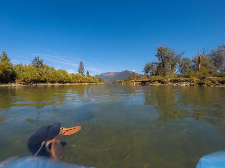 Activity Guide: Enderby River Float in the North Okanagan-Shuswap