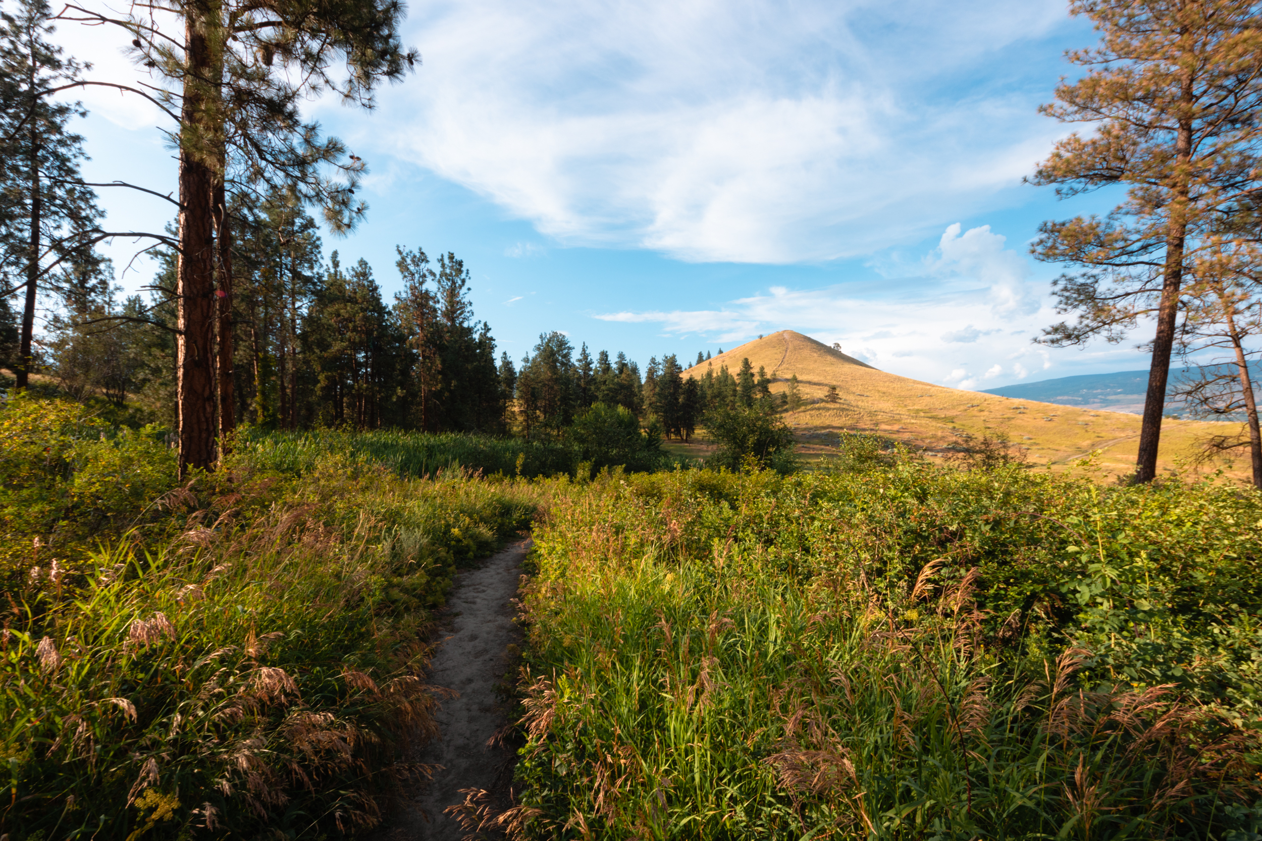 Trail Guide: Mt Baldy in Kelowna, BC