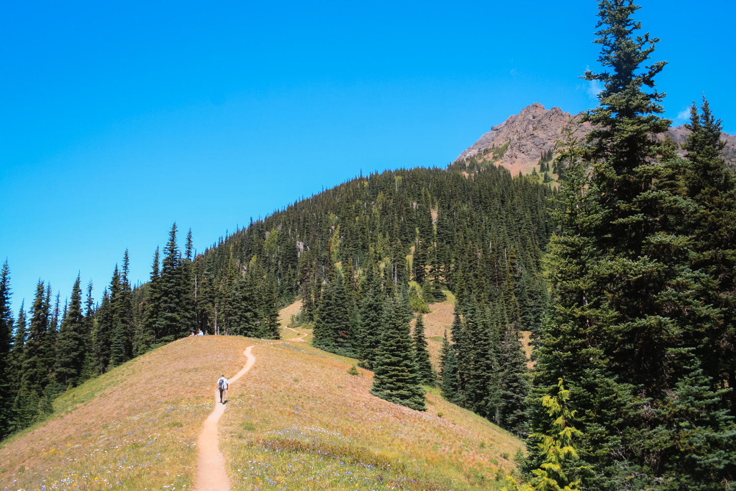 Klahhane ridge outlet hike