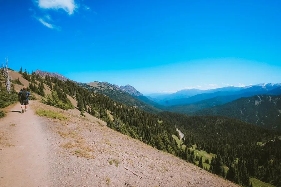 Switchback trail olympic national cheap park