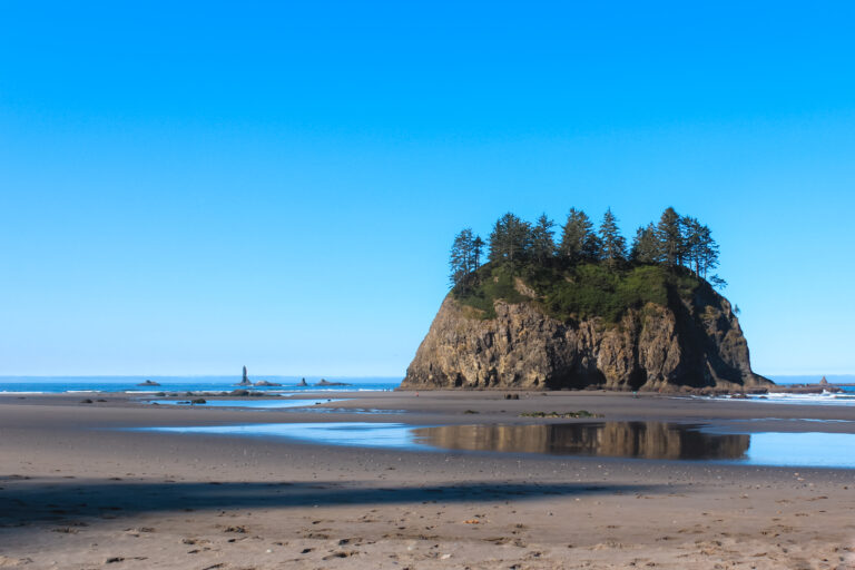 Wilderness Camping on Second Beach in La Push, Washington