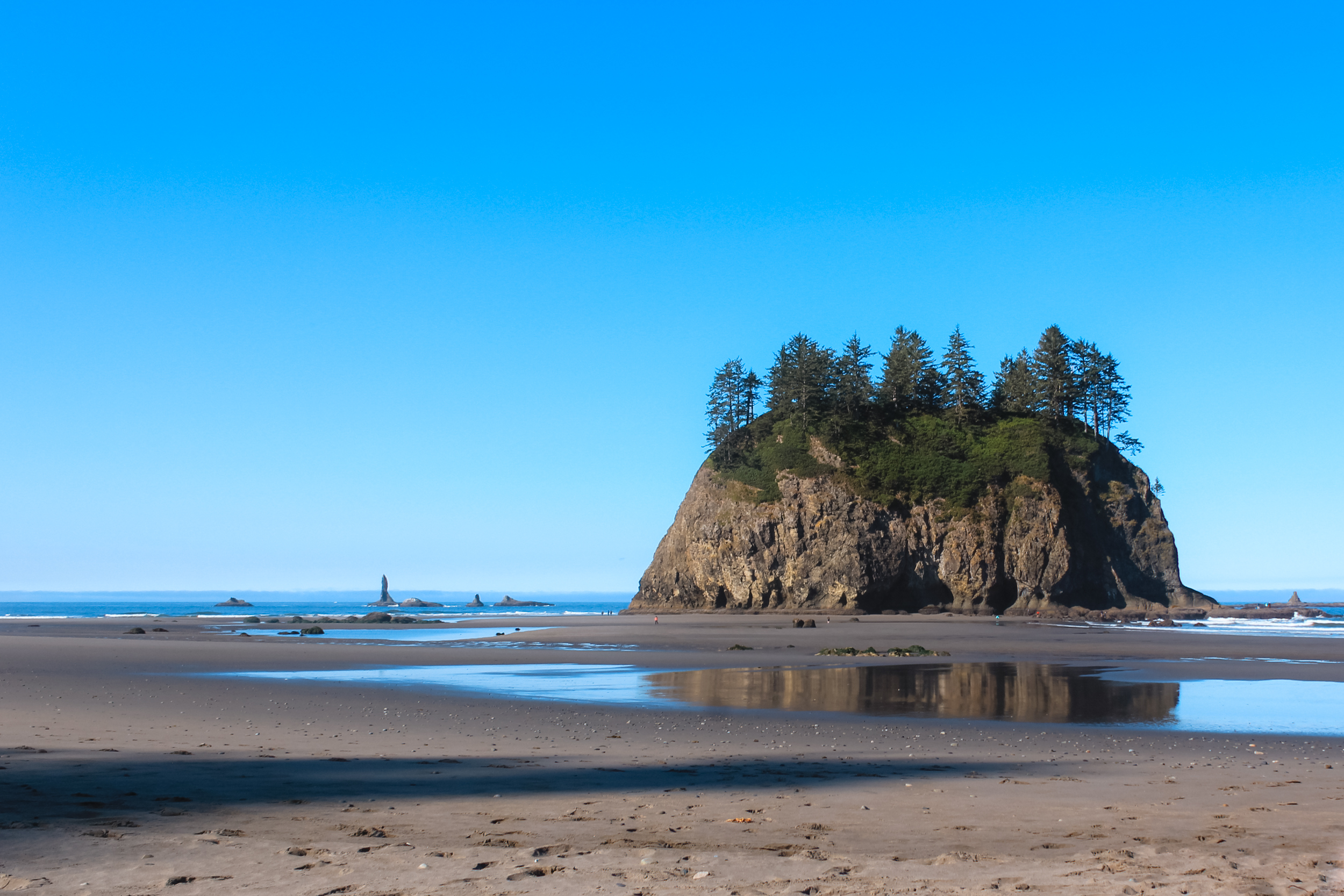 Wilderness Camping on Second Beach in La Push, Washington