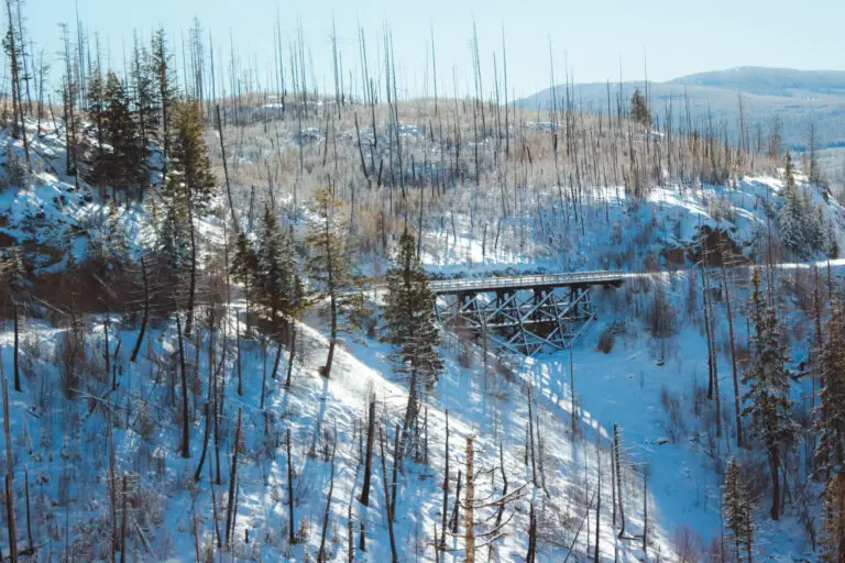 Trail Guide: Snowshoeing the Myra Canyon Trestles in Kelowna, BC