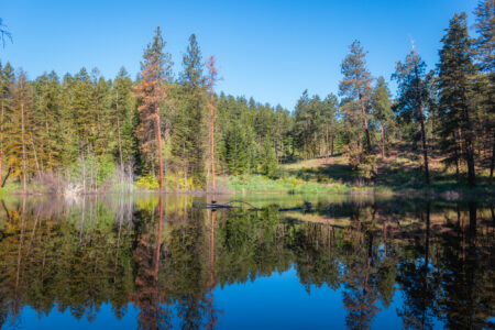Kathleen Lake Trail Guide: Knox Mountain Park in Kelowna, BC
