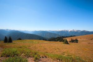 Hurricane Ridge in Olympic National Park, Washington