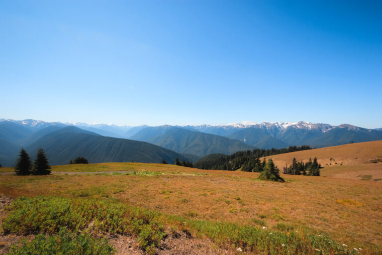 Hurricane Ridge in Olympic National Park, Washington