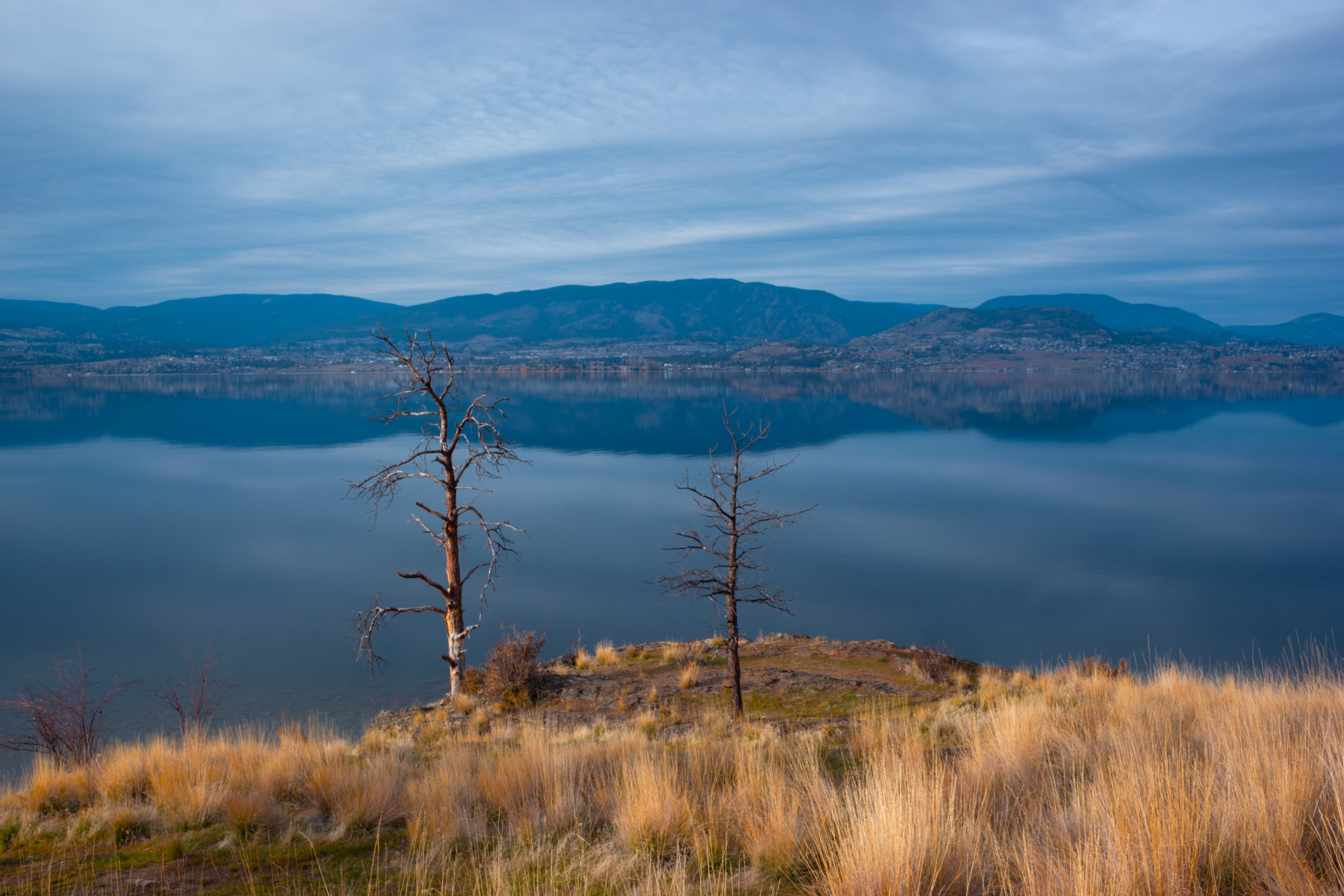 Bertram Creek Regional Park in Kelowna, BC