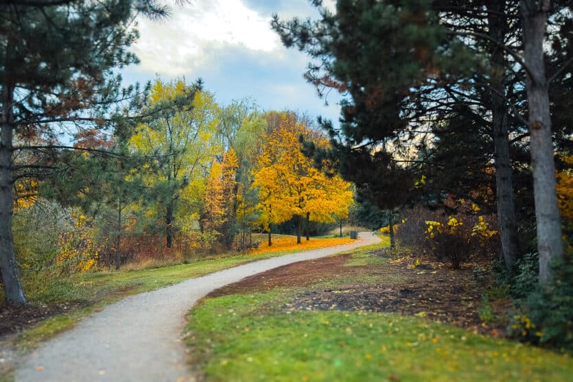 Brandt’s Creek Linear Park in the fall.