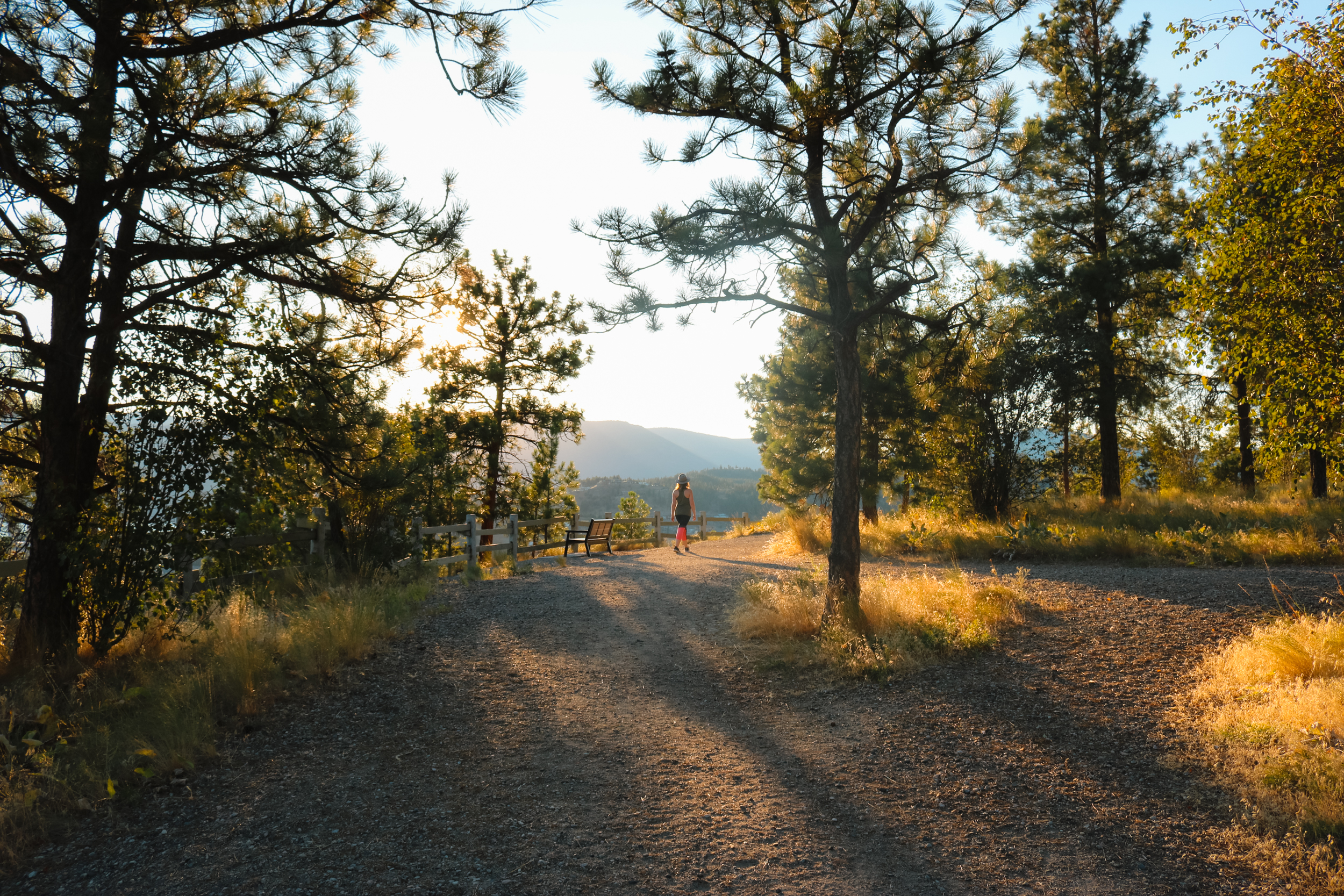 28+ Easy Hikes in Kelowna You’ll Love