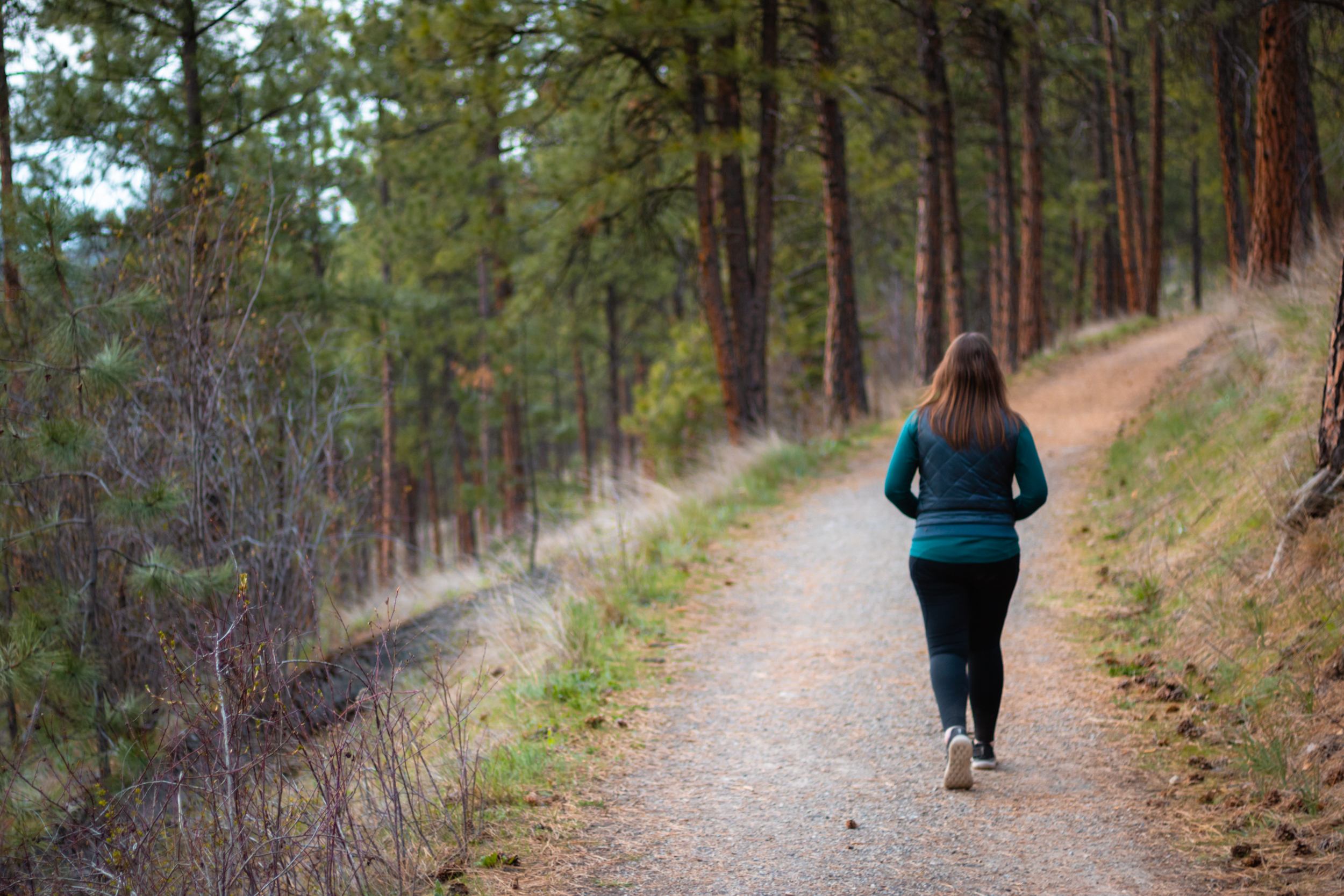 Quail Ridge Linear Park in Kelowna, BC