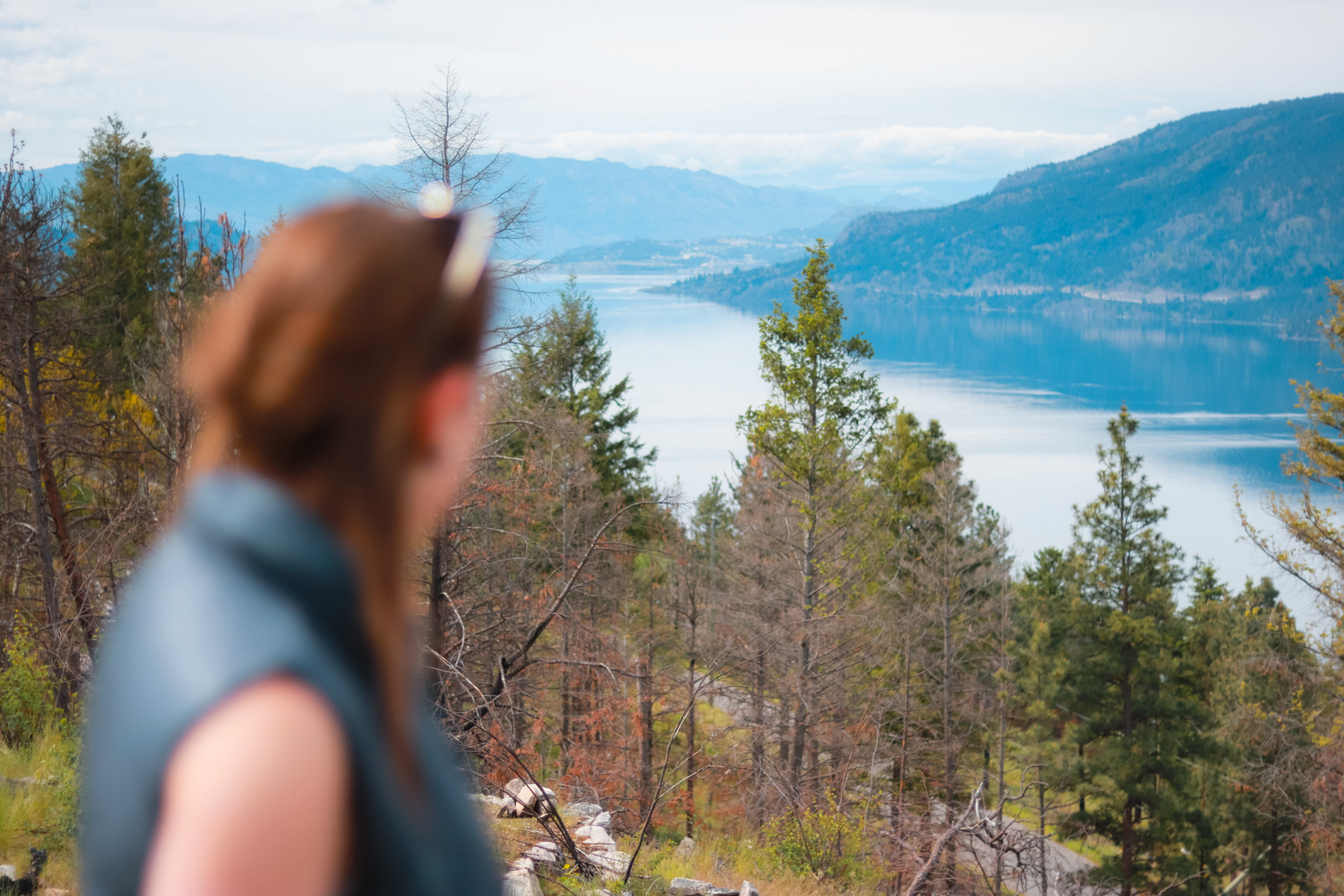 Jack Seaton Park in Lake Country, BC