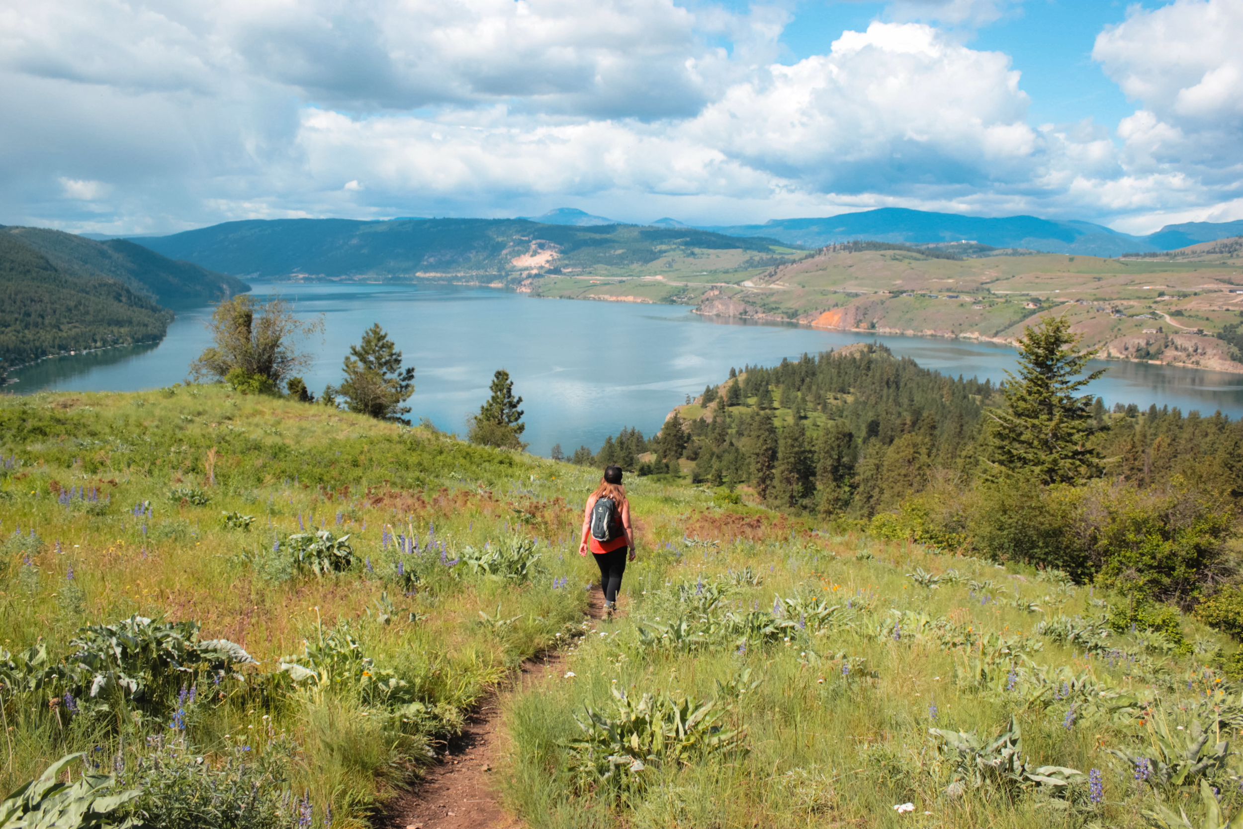 Kalamalka Lake Loop in Vernon, BC