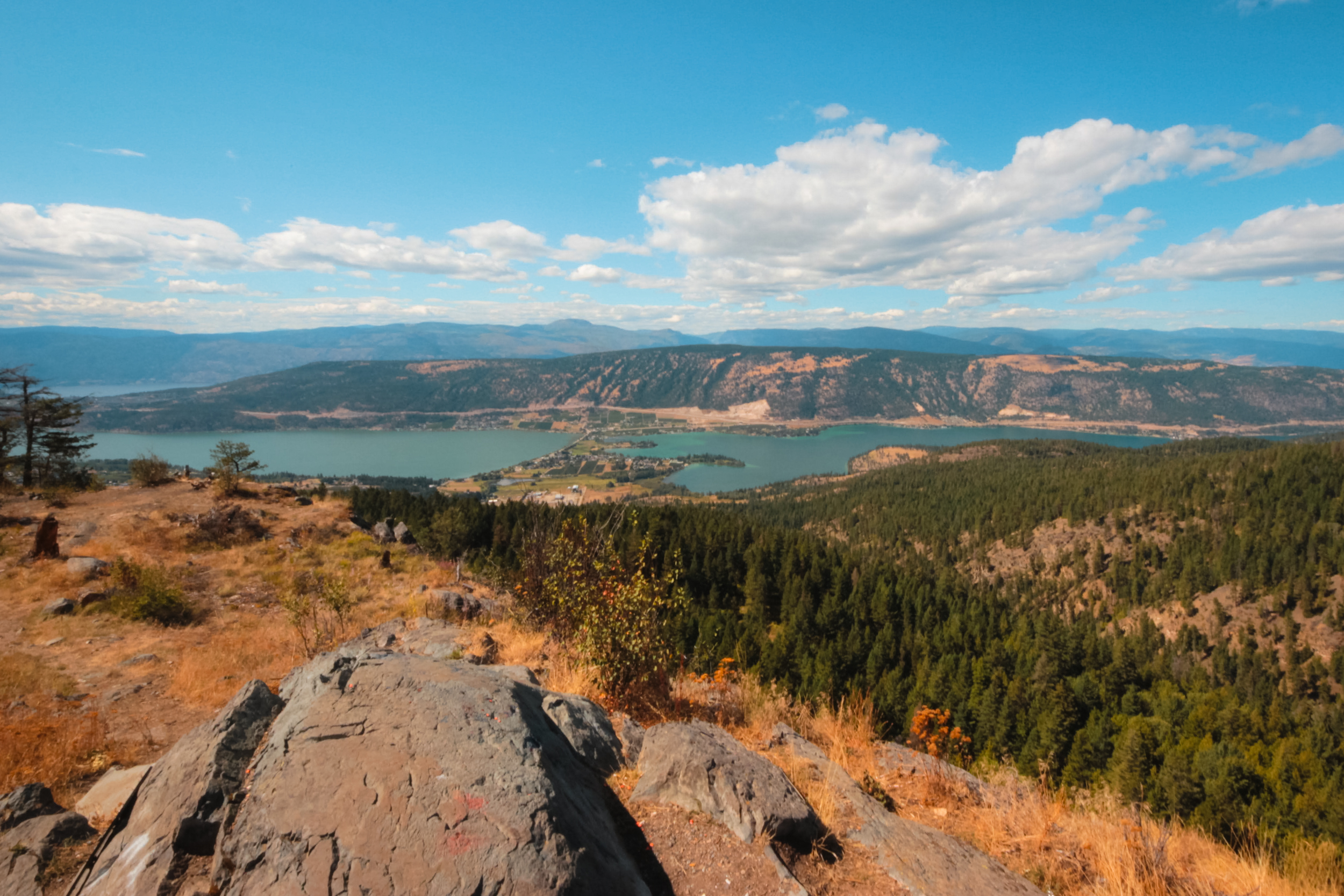 View from Oyama Lookout at two lakes