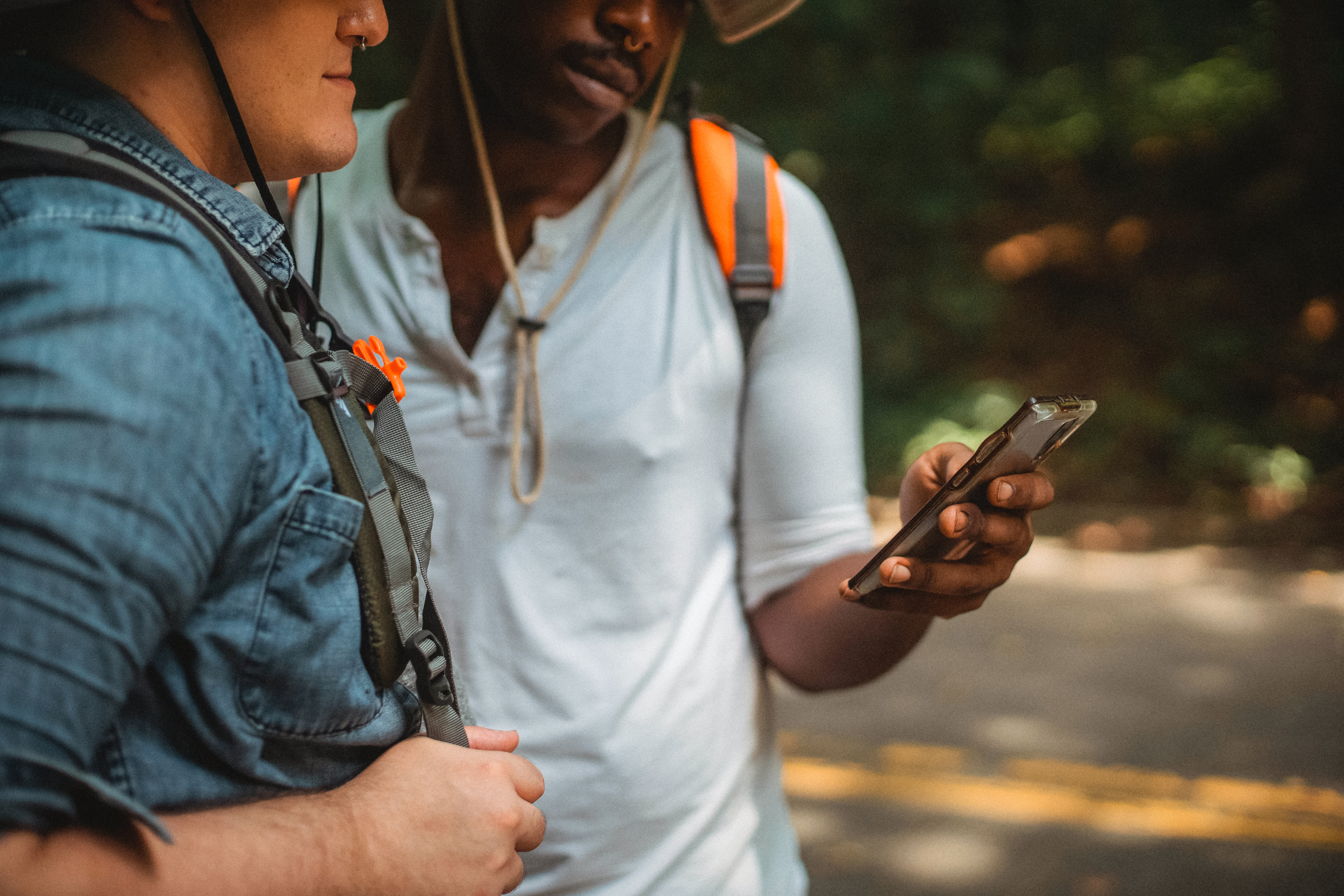 Best Hiking Apps Guide for iPhone & Android