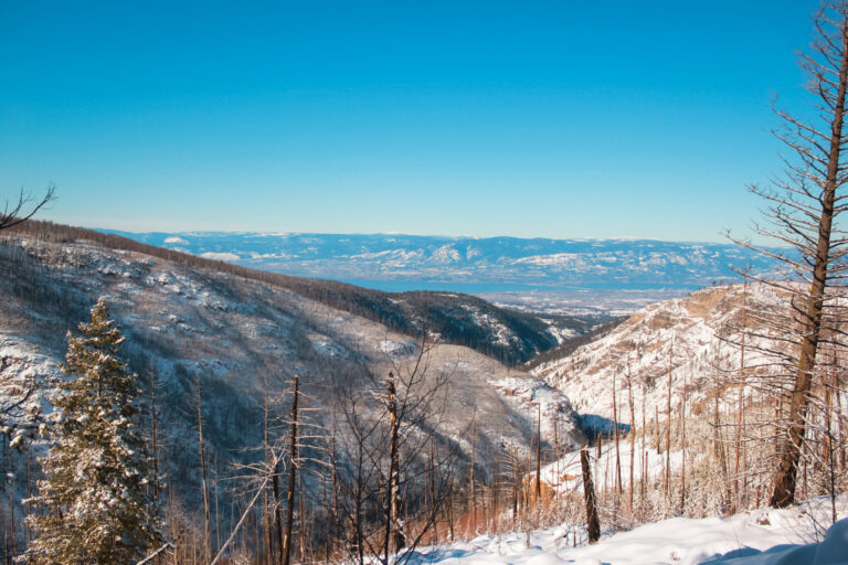 Snowshoeing & Winter Hiking in the Okanagan