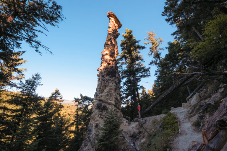 The Pillar Trail in Pillar Provincial Park near Falkland, BC