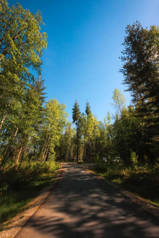 Paved road through a campground. Lots of trees and bright blue sky.