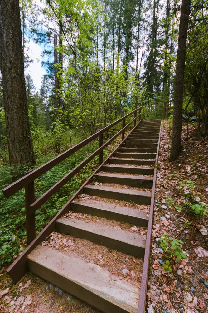 Wooden staircase in a forest