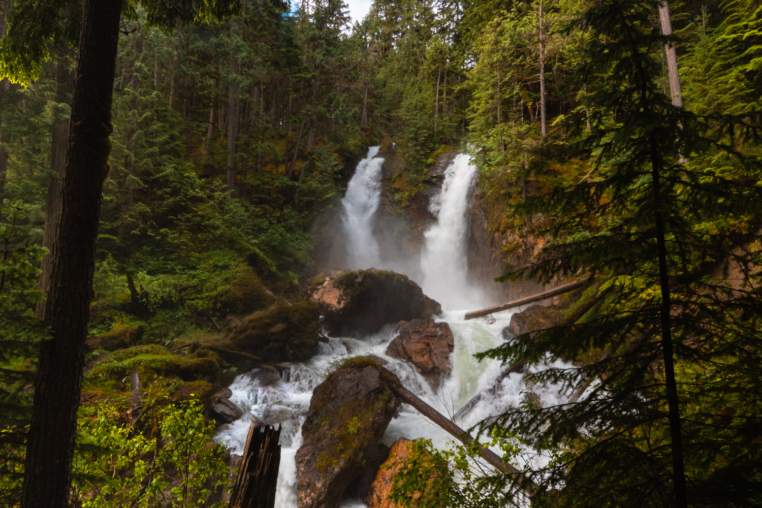 Begbie Falls near Revelstoke