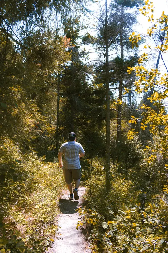 Man walks on a trail through the forest