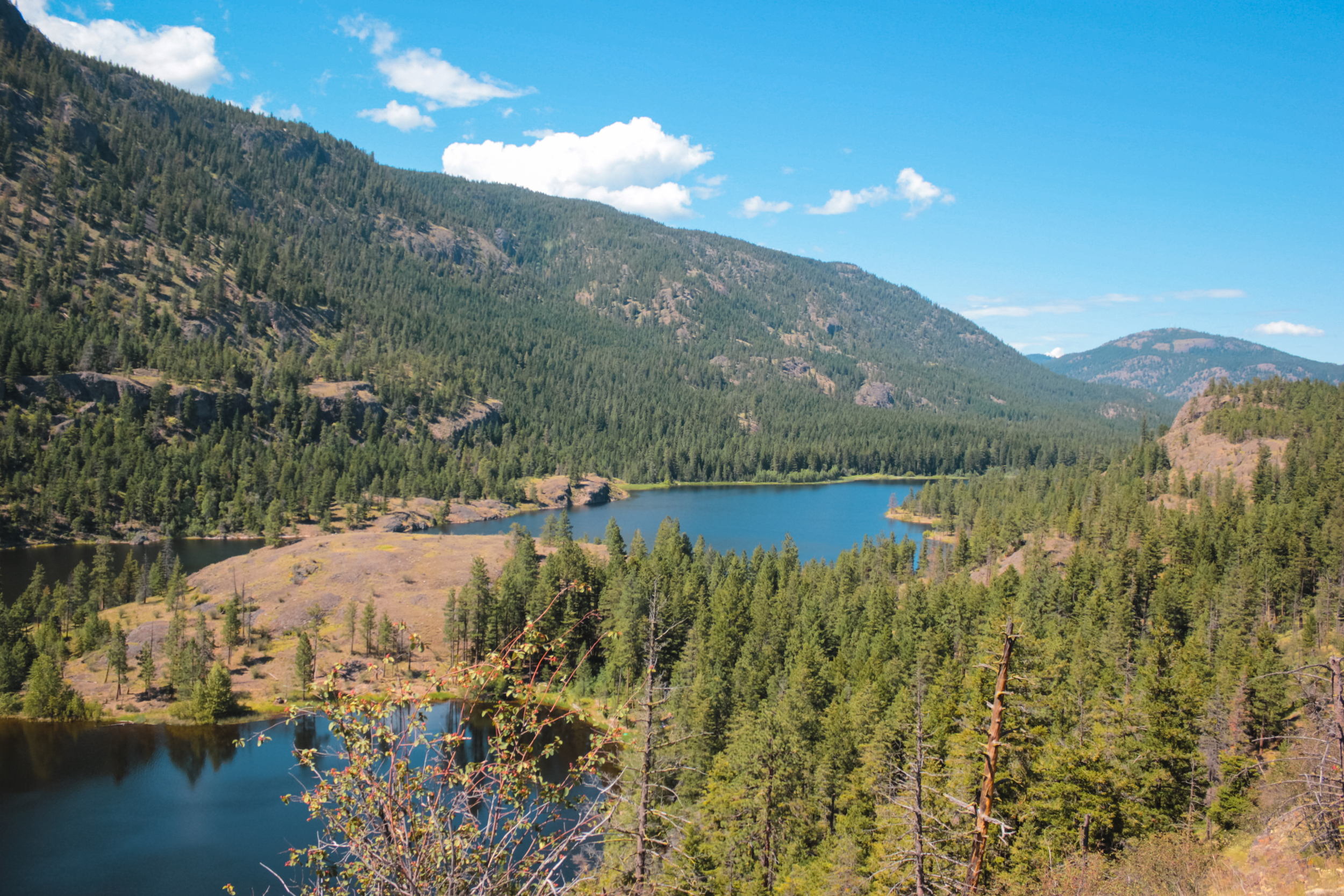 View of Rose Valley Reservoir. Blue water surrounded by a forest.