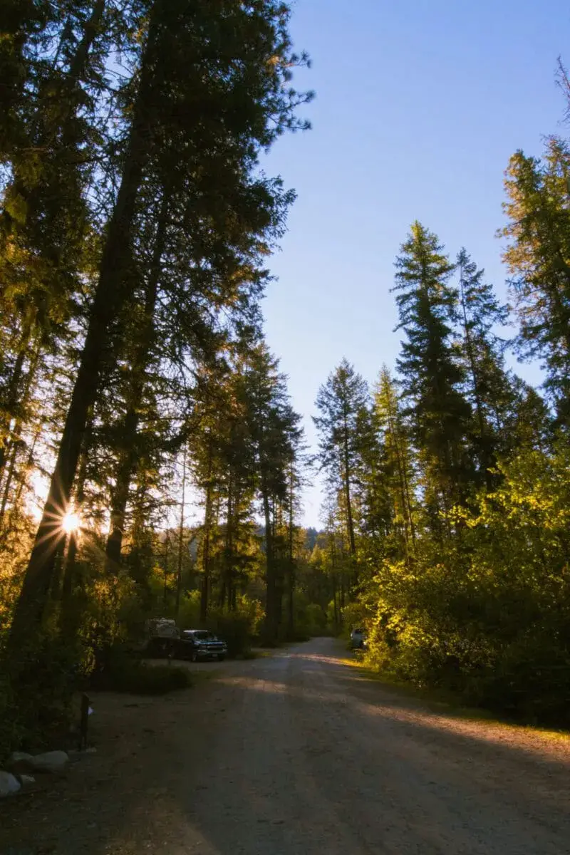 Sun shines through the trees at Texas Creek campground in Gladstone Provincial park near Christina lake