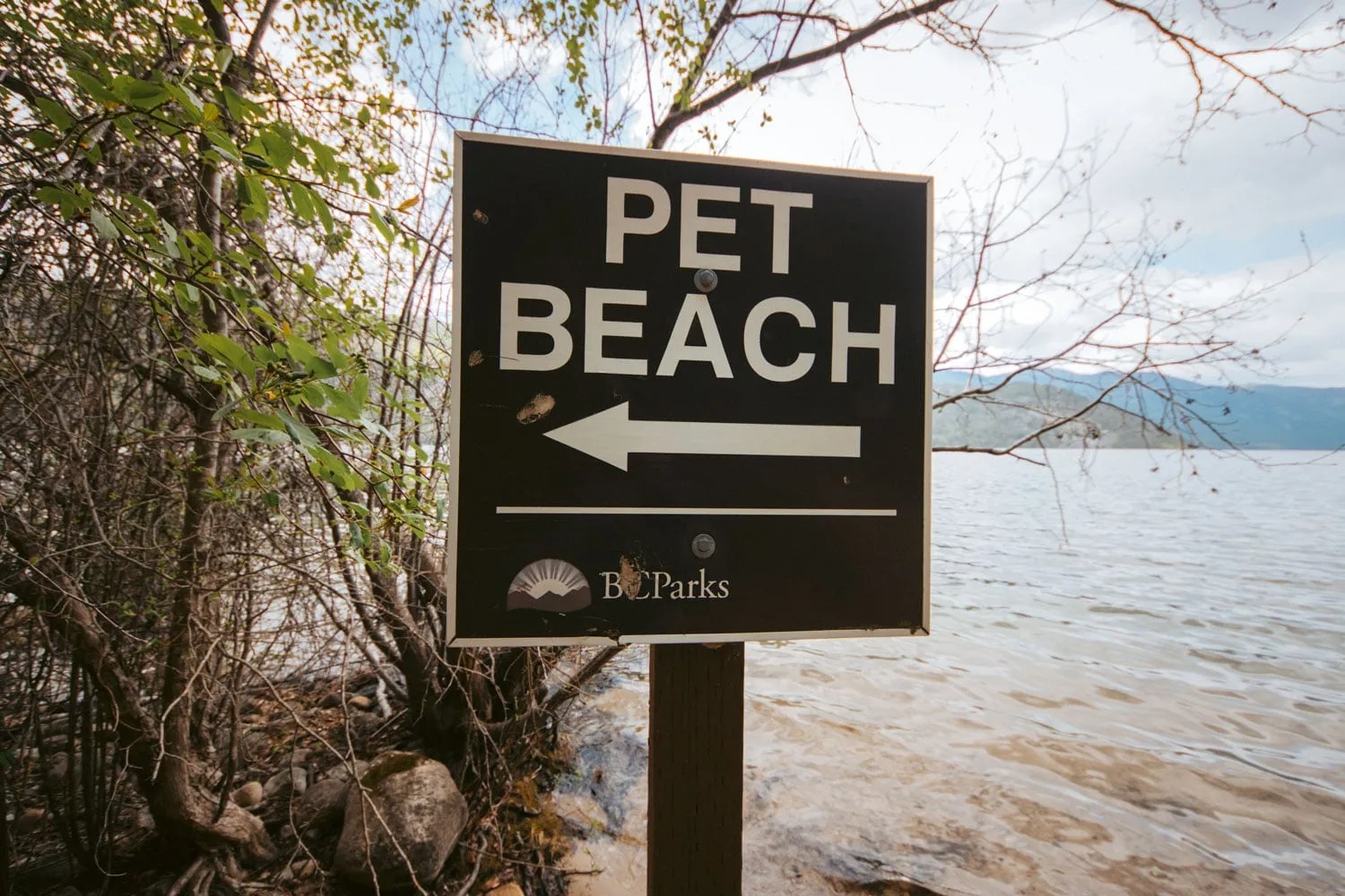 Pet beach sign pointing to the left