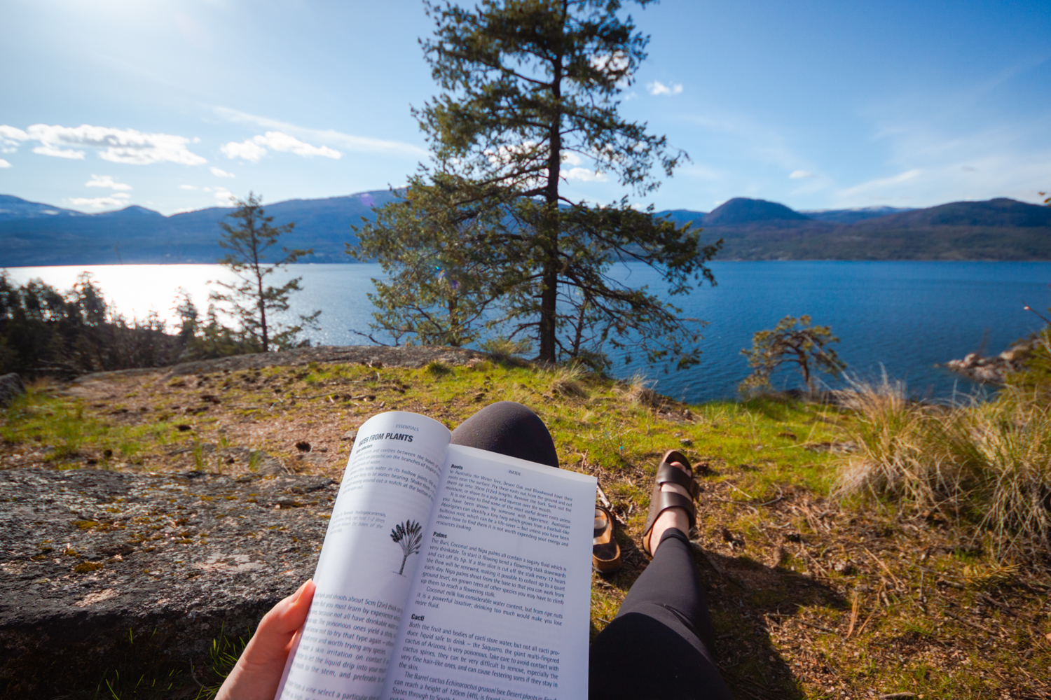 Woman reads a book with views of Okanagan Lake in Ellison Provincial Park