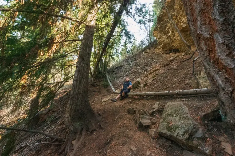 Man sits on log on a trail