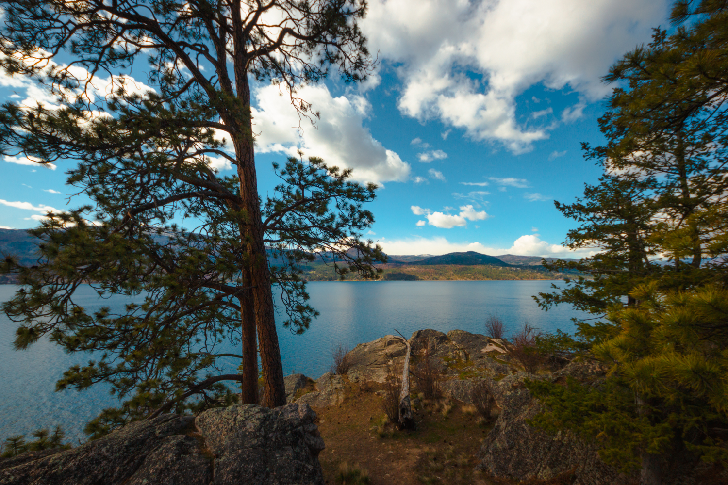 View through the trees of Okanagan Lake