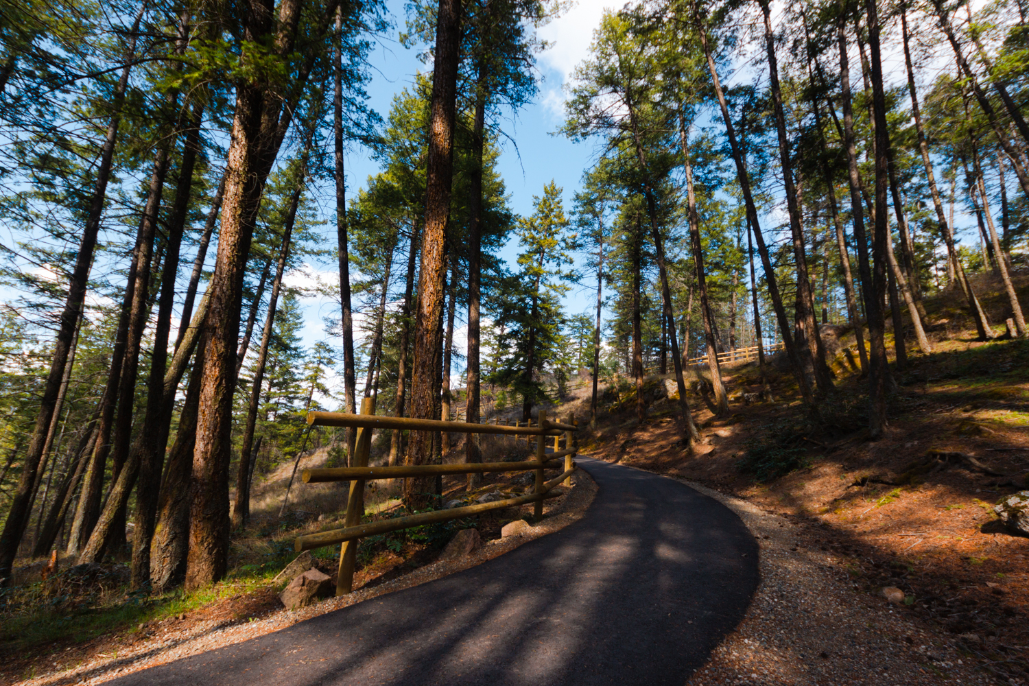 Paved trail through the trees to the day-use area at Ellison Provincial park in Vernon