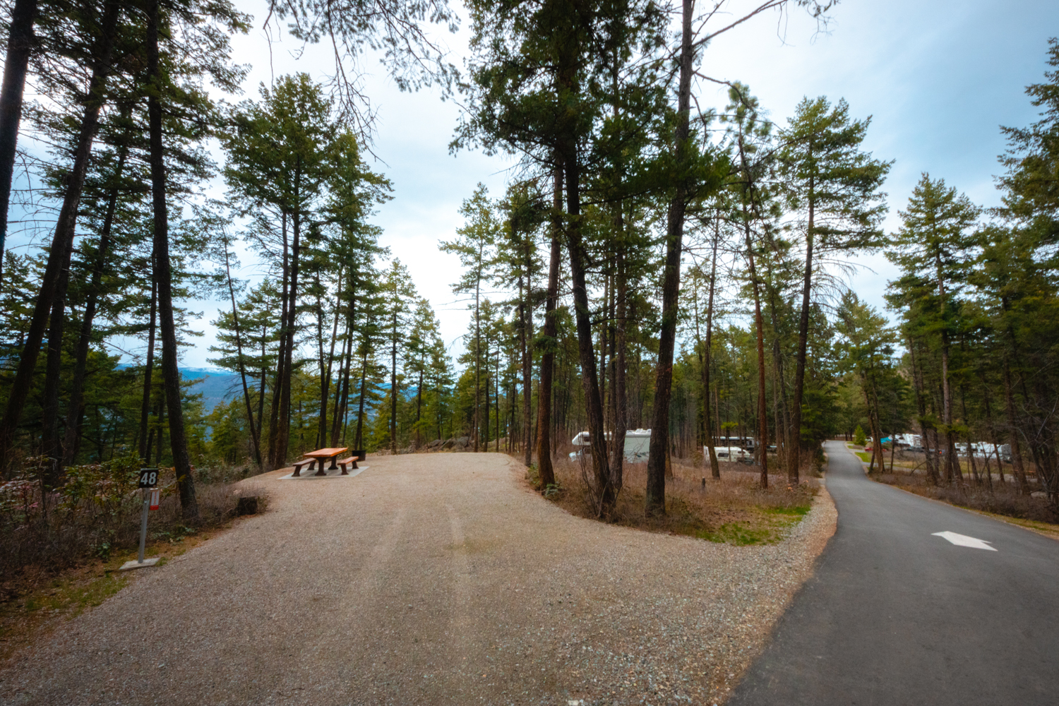 Gravel campsite and a paved road through the campground