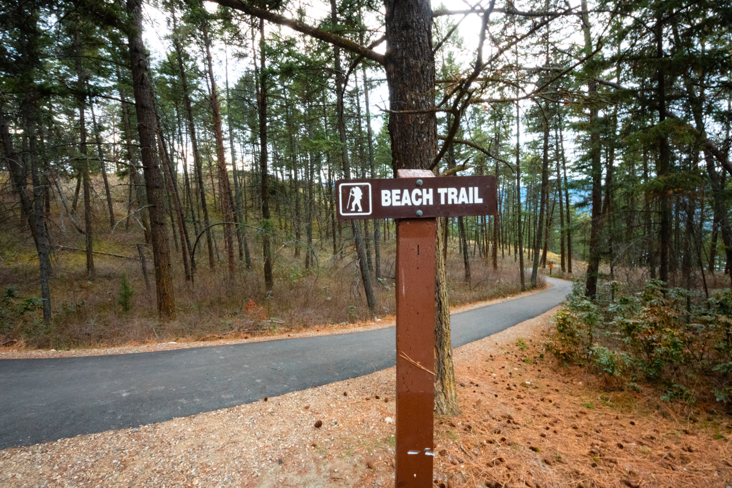Hiking trail sign