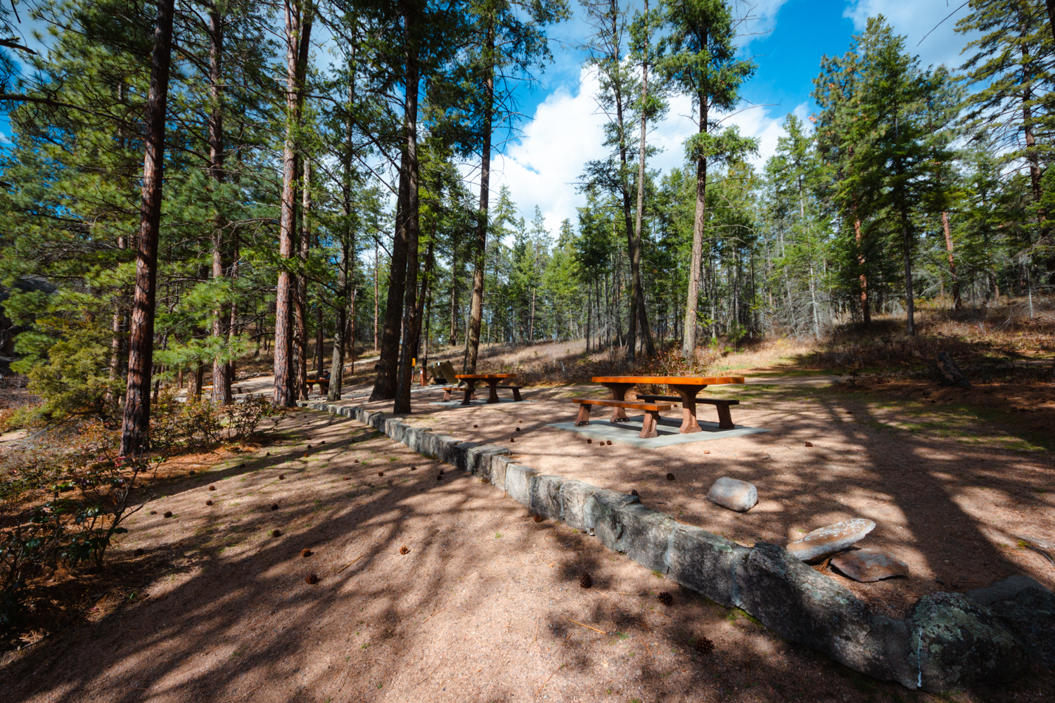 Picnic tables above South Bay beach