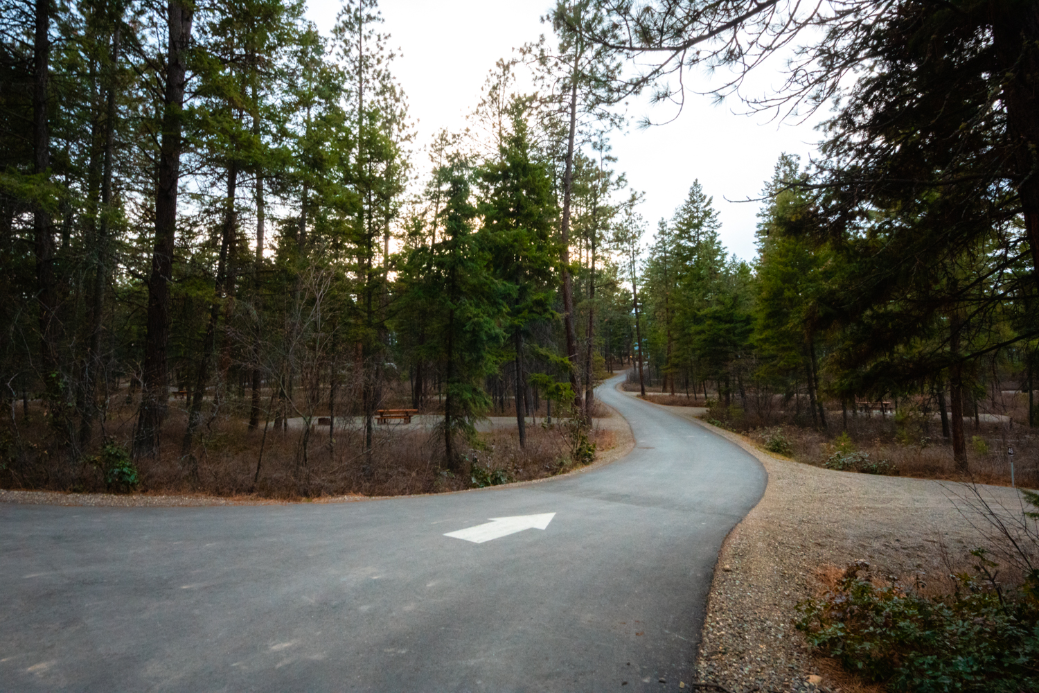 Paved road through the Ellison Provincial Park campground on a dreary day.