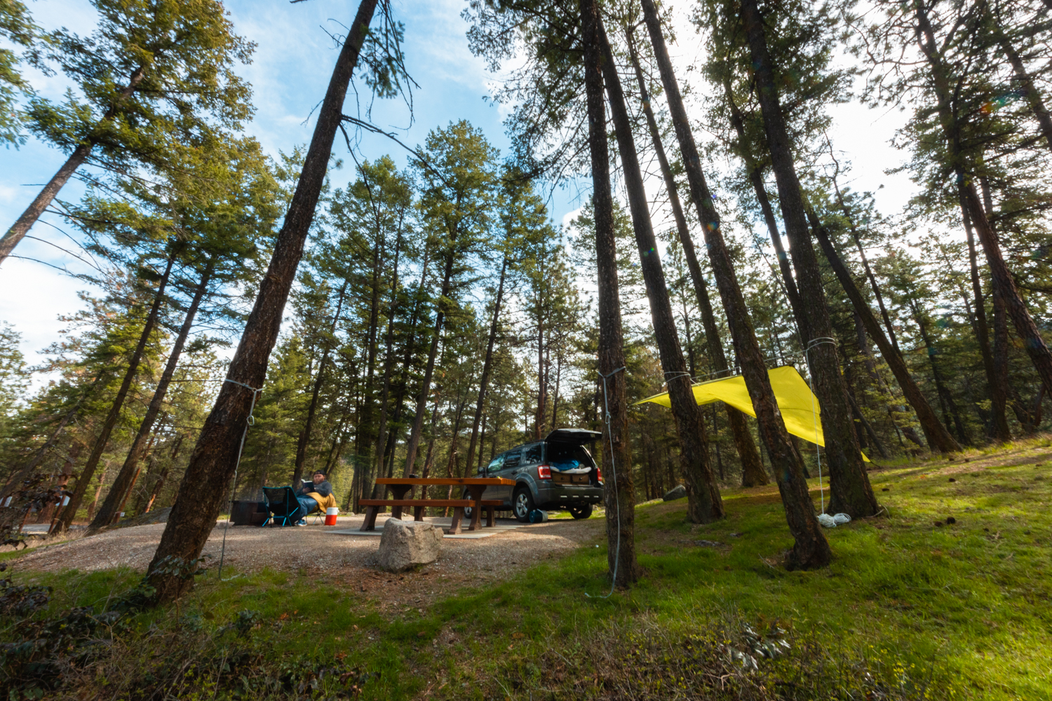 Camp setup in a forest in BC. Yellow tarp in the trees.