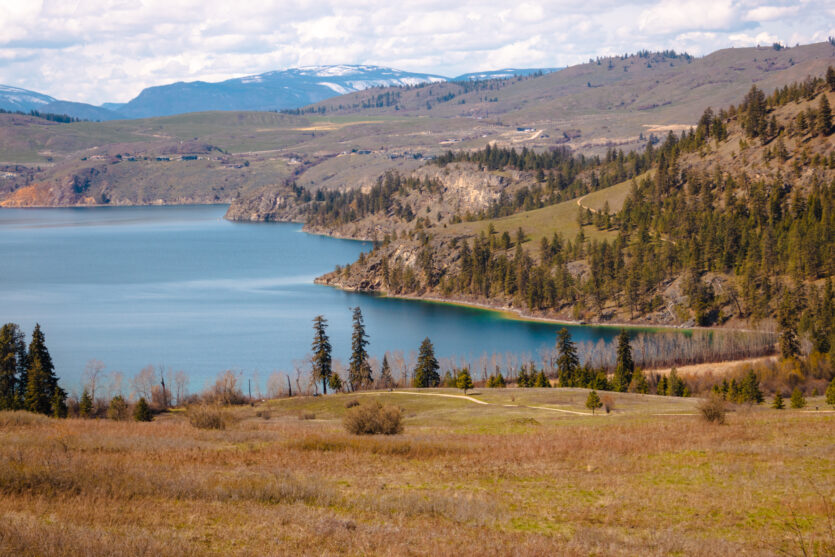 View of Cosens Bay beach from above