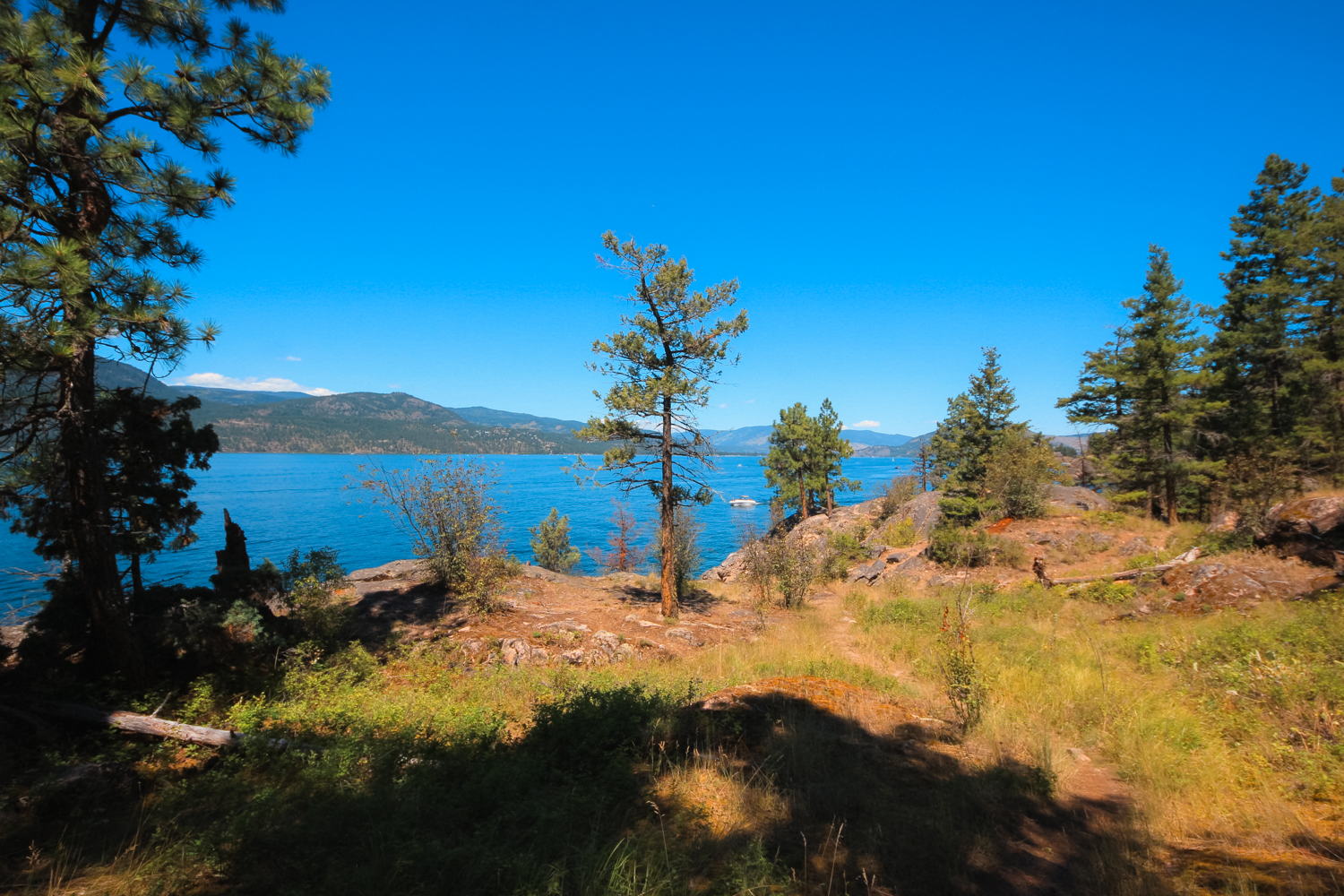 Hiking trail along Okanagan Lake in Ellison Provincial Park on a sunny, summer day.