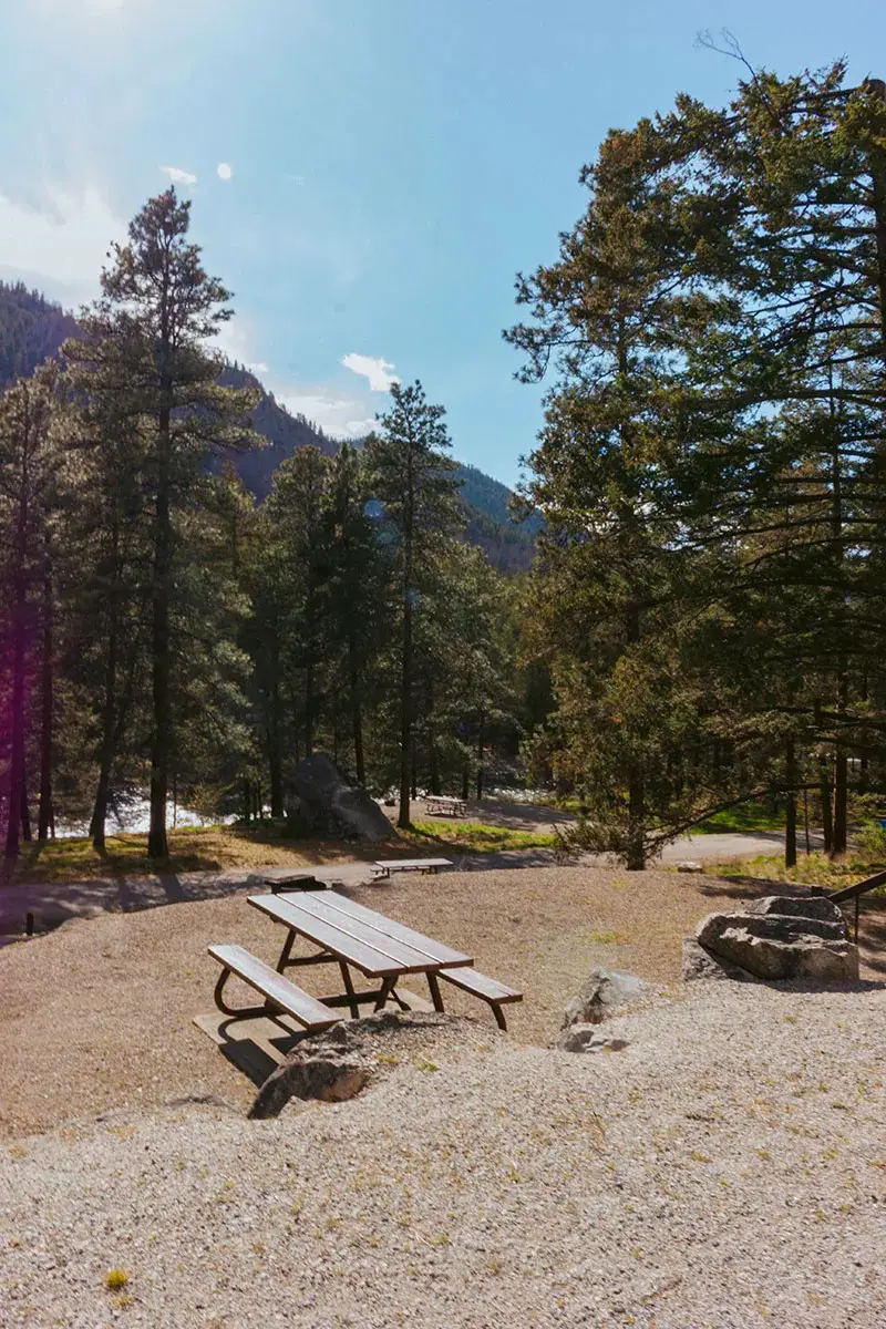 Sun-drenched, two-tiered campsite with a picnic table on the lower level