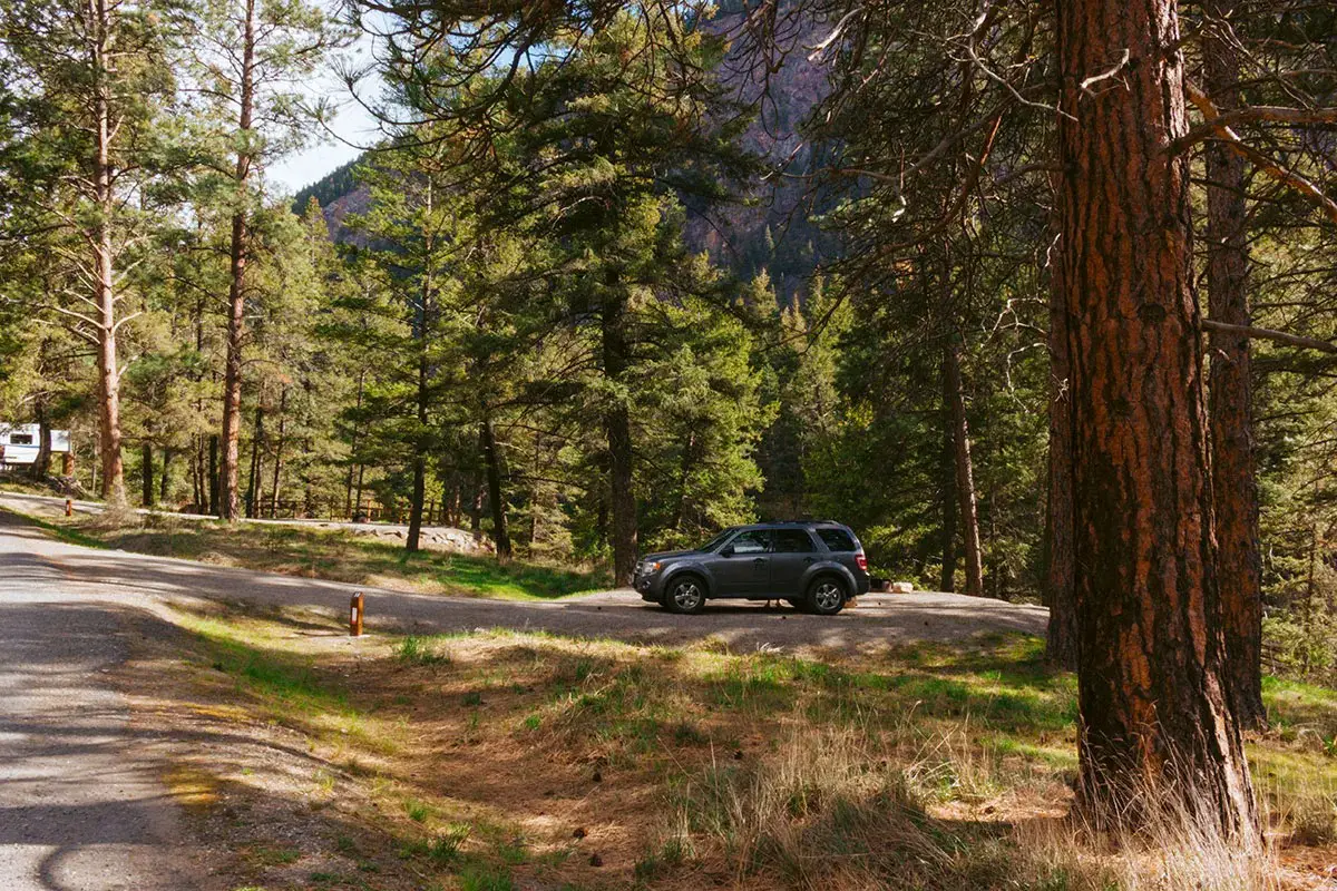 A car camping SUV is parked in a campsite at Stemwinder Provincial Park in a sparse forest.