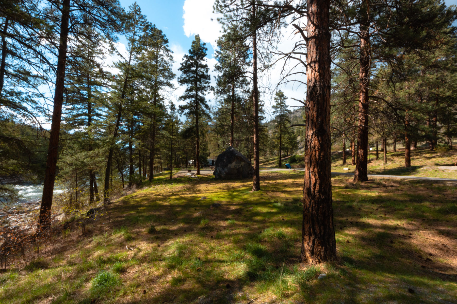 The campground at Stemwinder Provincial Park has tall Ponderosa pines and little underbrush