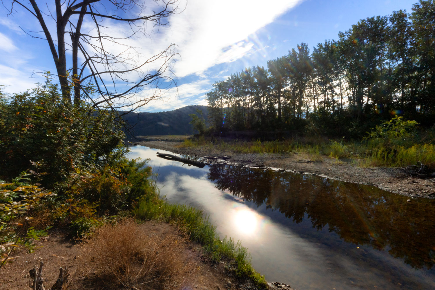 Bear Creek flows through the campground, ending at Okanagan Lake