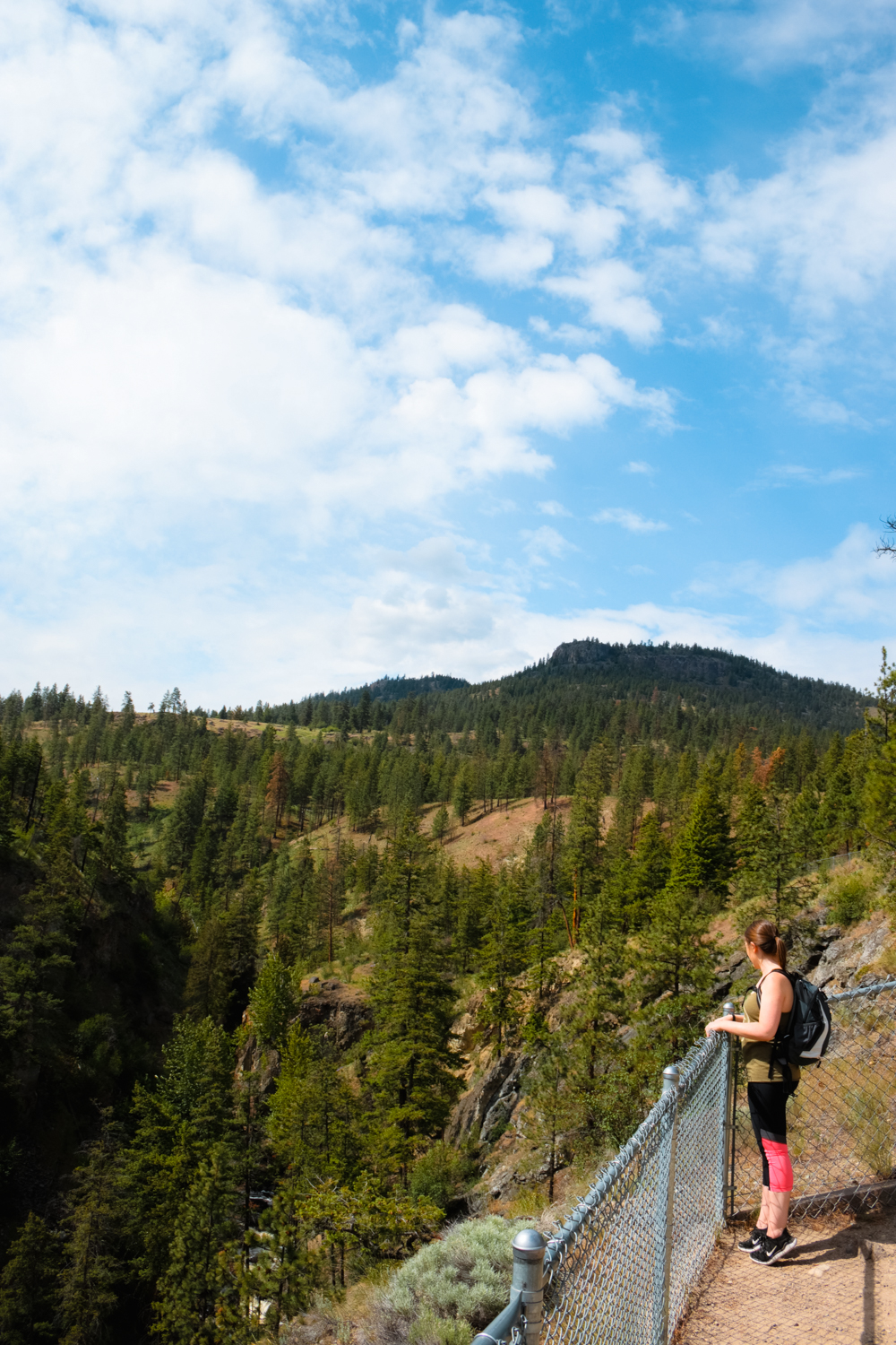 Woman stands next to chain link beside a canyon full of trees
