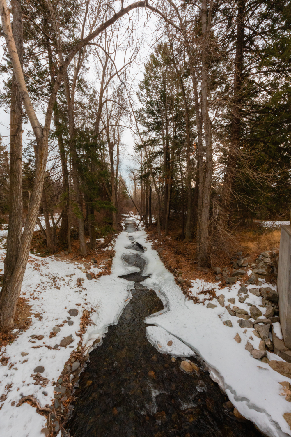 Frozen, snow covered creek through the campground