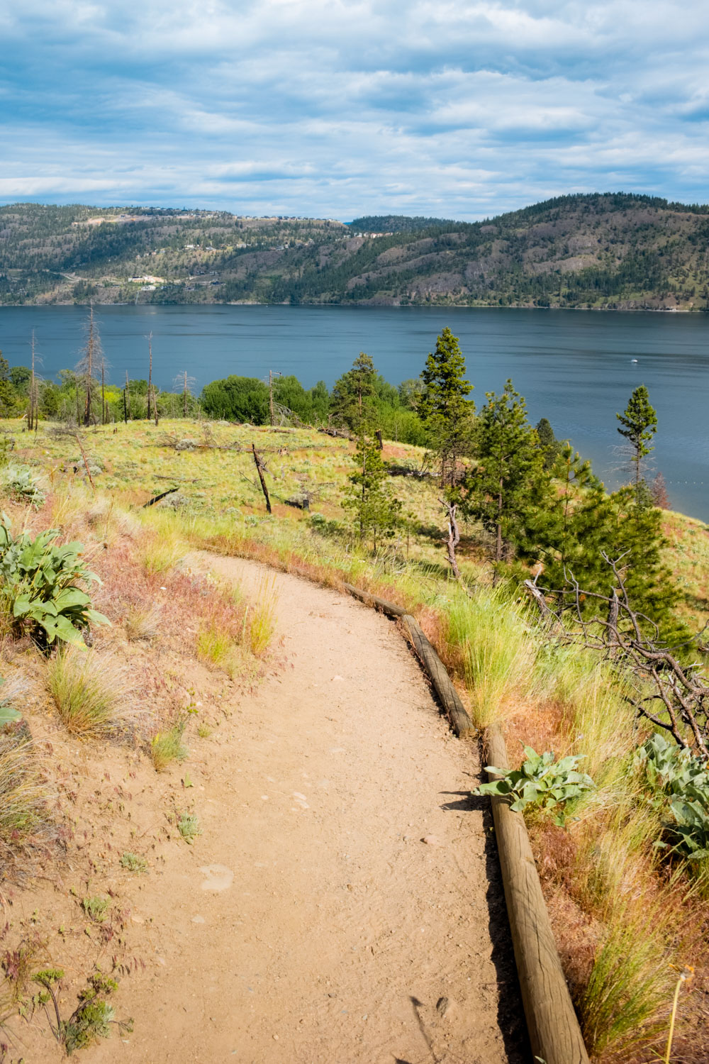 Canyon Rim Trail Bear Creek Provincial Park Explore the Map