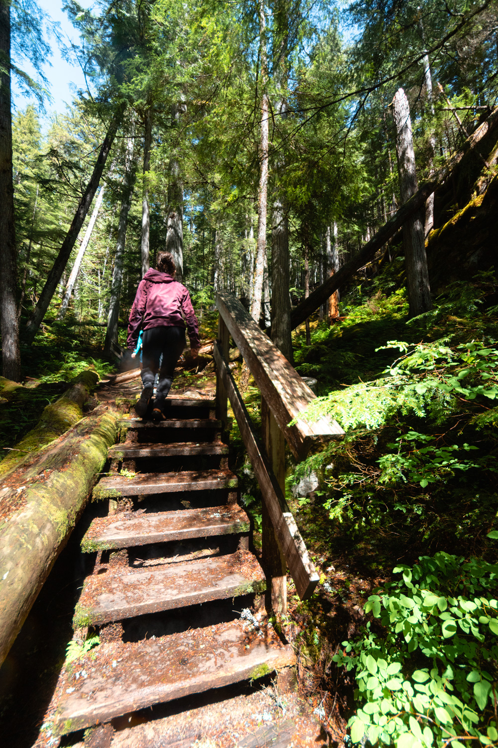 Woman walks up moss covered wooden stairs on the tree-lined trail to Rainbow Falls.