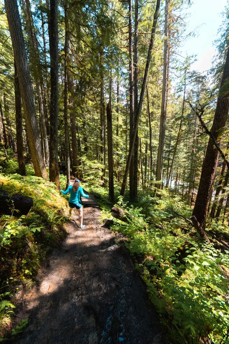Woman navigates a muddy trail through a green, lush forest in the Monashee mountains.